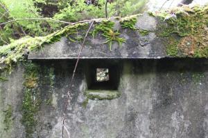 Ligne Maginot - DALHUNDEN EST - (PC de Sous-Quartier) - Un des créneau de la tranchée de desserte de l'accès