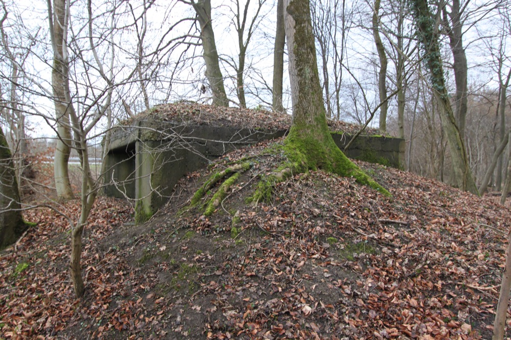 Ligne Maginot - AM SOUFFLENHEIMER Sud (Blockhaus pour canon) -  - Les Gardiens du Rhin