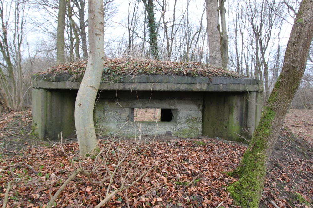 Ligne Maginot - AM SOUFFLENHEIMER Sud (Blockhaus pour canon) -  - Les Gardiens du Rhin