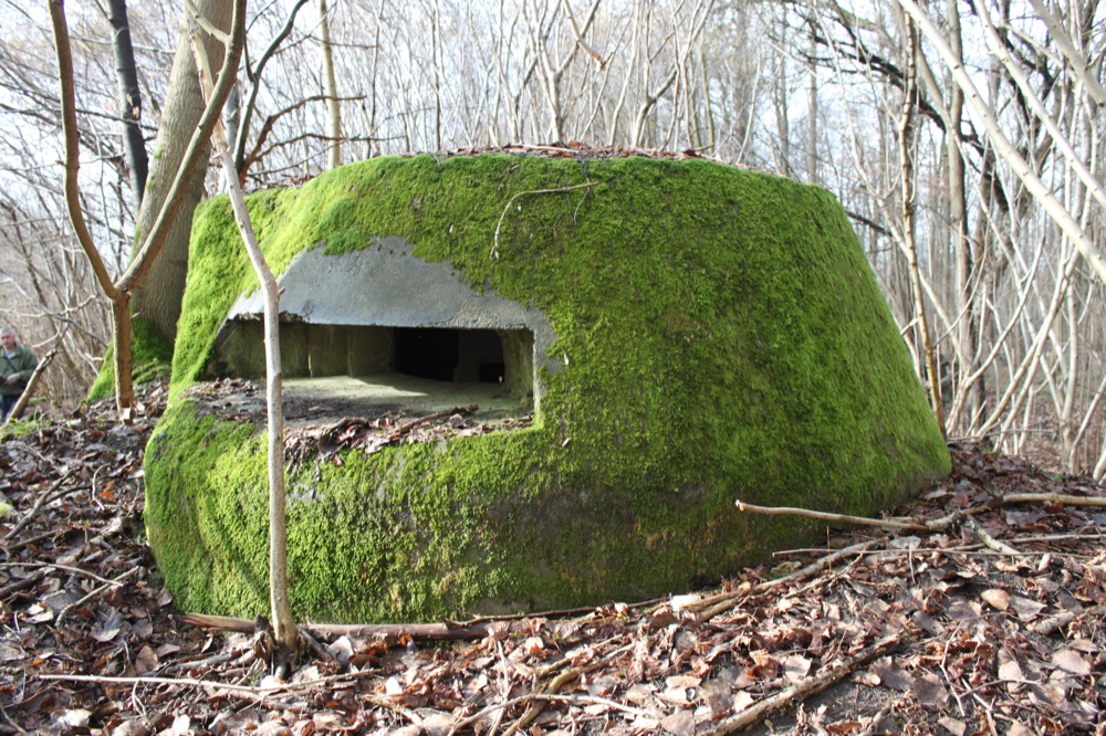 Ligne Maginot - RAMELSHAUSEN 1 (Blockhaus pour arme infanterie) - Vue générale - Les Gardiens du Rhin