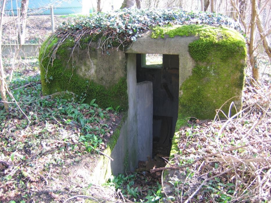 Ligne Maginot - RAMELSHAUSEN 3 (Blockhaus pour arme infanterie) -  - Les Gardiens du Rhin