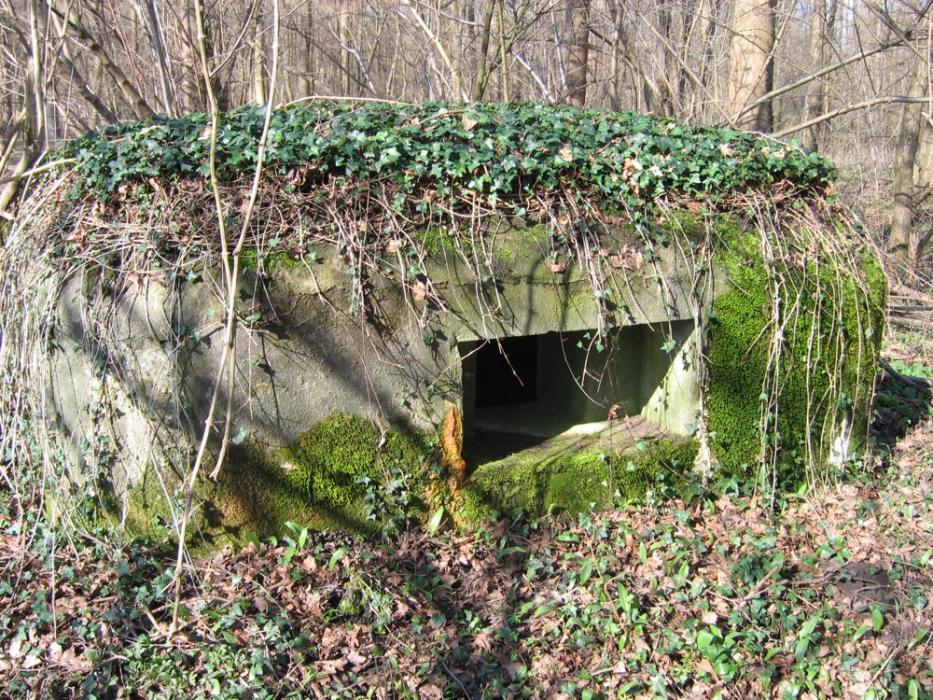 Ligne Maginot - RAMELSHAUSEN 3 (Blockhaus pour arme infanterie) -  - Les Gardiens du Rhin