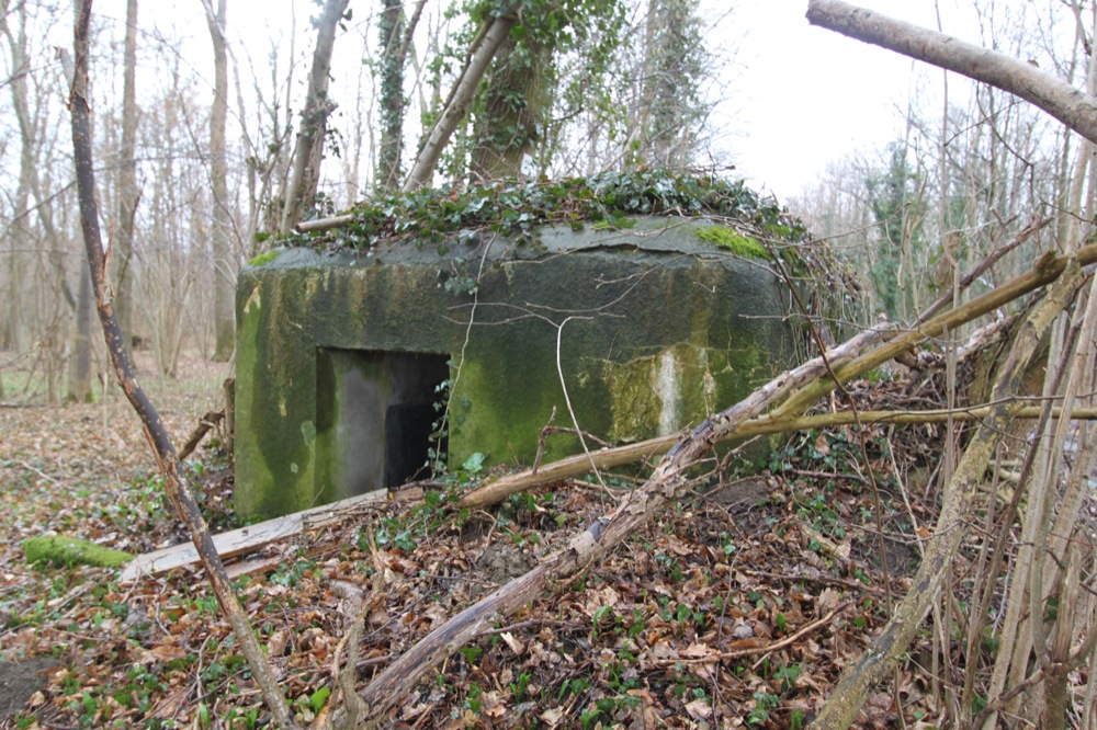 Ligne Maginot - LILIENFELD NORD - (Blockhaus pour arme infanterie) -  - Les Gardiens du Rhin