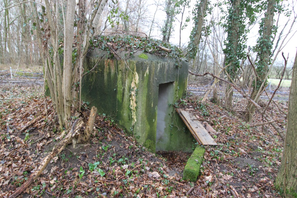 Ligne Maginot - LILIENFELD NORD - (Blockhaus pour arme infanterie) -  - Les Gardiens du Rhin