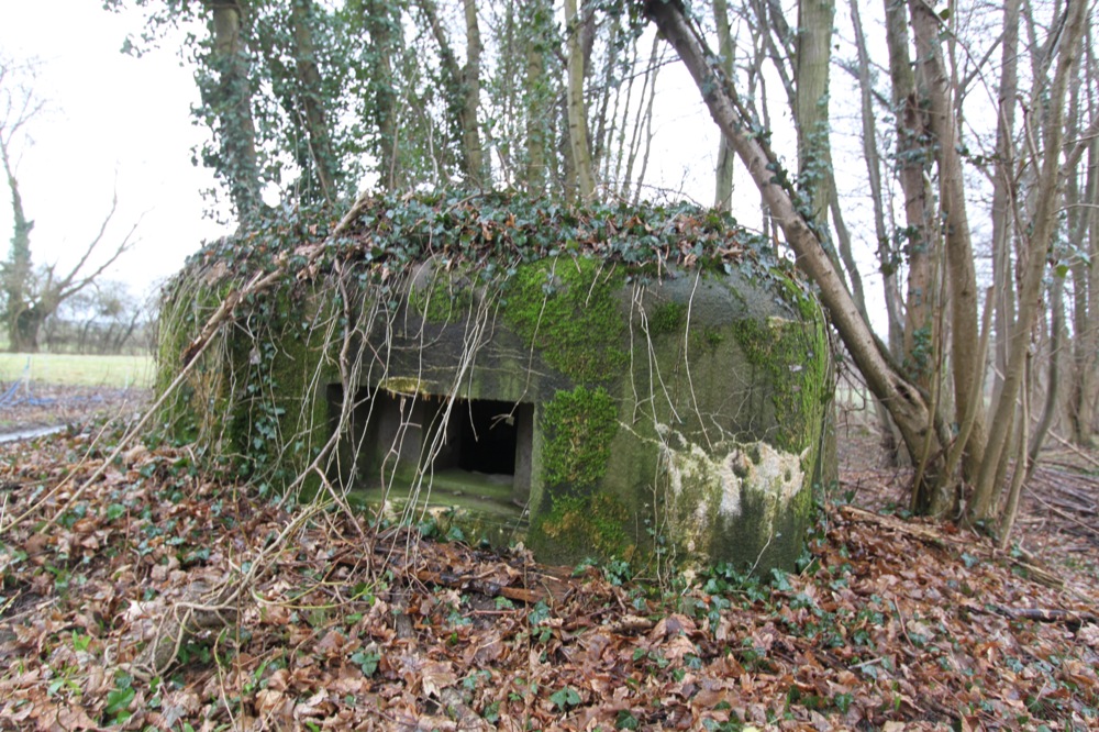 Ligne Maginot - LILIENFELD NORD - (Blockhaus pour arme infanterie) -  - Les Gardiens du Rhin