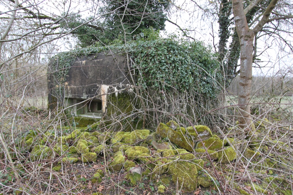 Ligne Maginot - BANGWOG Centre (Blockhaus pour arme infanterie) -  - Les Gardiens du Rhin
