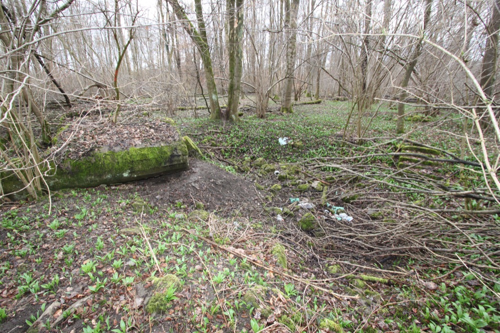 Ligne Maginot - FELDELE CENTRE - (Blockhaus pour arme infanterie) -  - Les Gardiens du Rhin