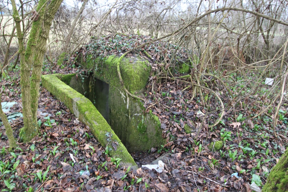 Ligne Maginot - FELDELE Sud - (Blockhaus pour arme infanterie) -  - Les Gardiens du Rhin