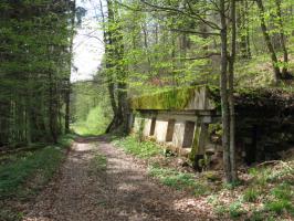 Ligne Maginot - MONTBRONN ( KUSTERWALD ) - (PC) - 