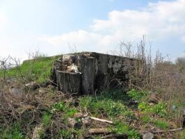 Ligne Maginot - LUXENMUEHLE OUEST - (Blockhaus pour arme infanterie) - Vue générale