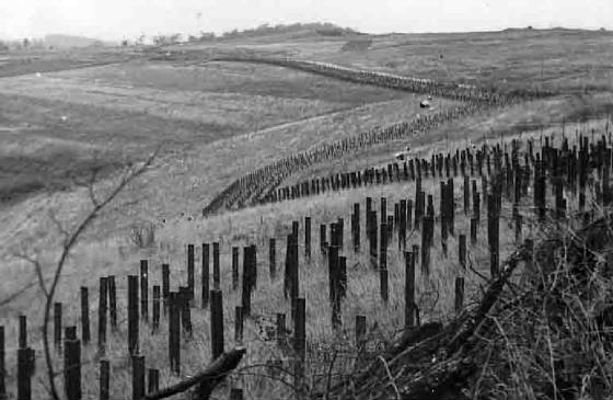 Ligne Maginot - SCHIESSECK - (Ouvrage d'artillerie) - Le réseau antichar aux abords de l'ouvrage - inconnu