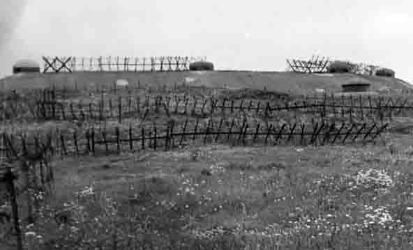 Ligne Maginot - BOIS DU FOUR - A5 - (Ouvrage d'infanterie) - Les dessus de l'ouvrage en 1940 - inconnu
