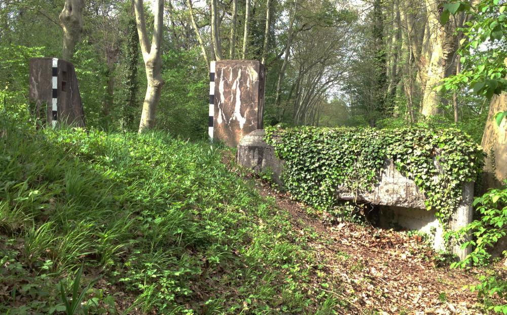 Ligne Maginot - HAUTE DIGUE 5 - (Blockhaus pour arme infanterie) -  - Pascal LAMBERT