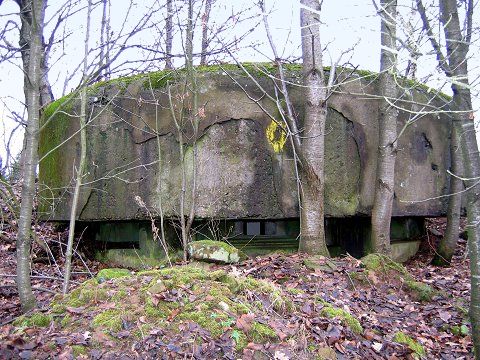 Ligne Maginot - GRAND KINDELBERG - (Observatoire d'artillerie) -  - AALMA - www.lignemaginot.com