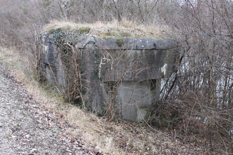 Ligne Maginot - FAHRKOPF Centre Nord (Blockhaus pour arme infanterie) -  - Les Gardiens du Rhin