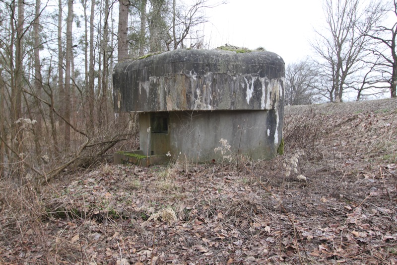Ligne Maginot - FAHRKOPF Centre Sud (Blockhaus pour arme infanterie) -  - Les Gardiens du Rhin