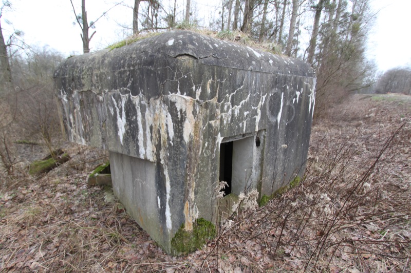 Ligne Maginot - FAHRKOPF Centre Sud (Blockhaus pour arme infanterie) -  - Les Gardiens du Rhin