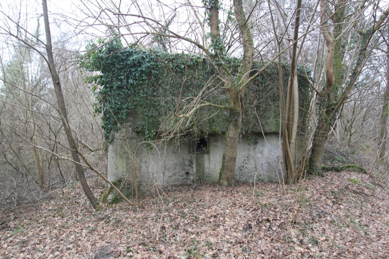 Ligne Maginot - ROSSMOERDER NORD EST - (Blockhaus pour arme infanterie) -  - Les Gardiens du Rhin