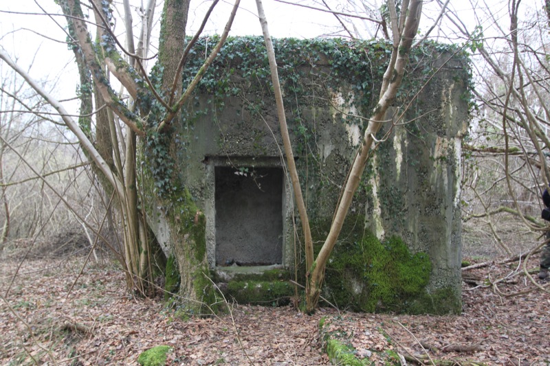 Ligne Maginot - ROSSMOERDER NORD EST - (Blockhaus pour arme infanterie) -  - Les Gardiens du Rhin