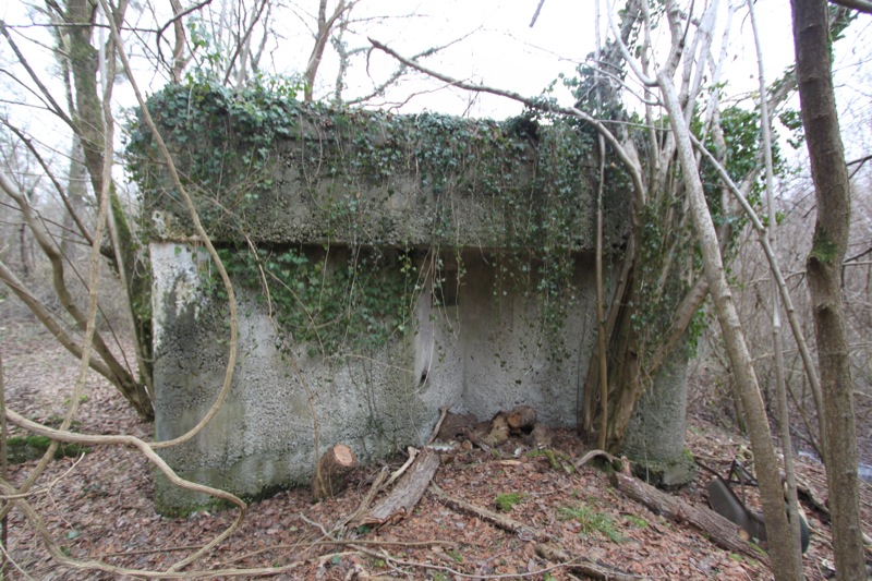 Ligne Maginot - ROSSMOERDER NORD EST - (Blockhaus pour arme infanterie) -  - Les Gardiens du Rhin
