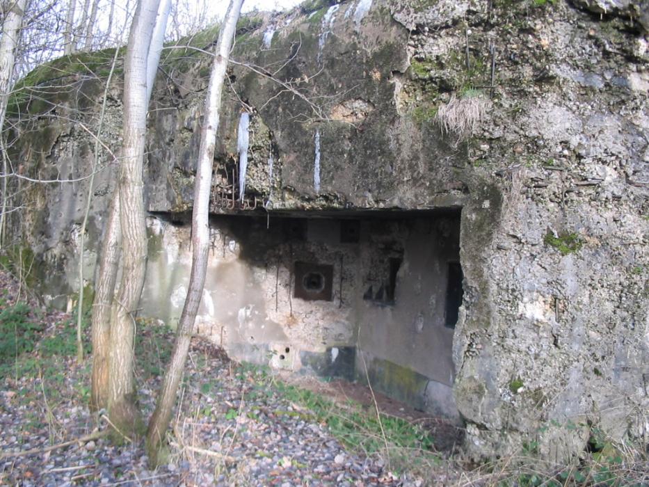Ligne Maginot - FREUDENBERG - (Casemate d'infanterie) -  - Antoine SCHOEN