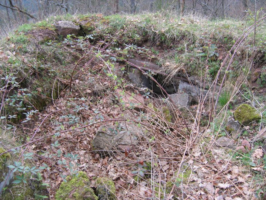 Ligne Maginot - ROTHENBOURG CHATEAU (Observatoire d'infanterie) - L'observatoire - Antoine SCHOEN