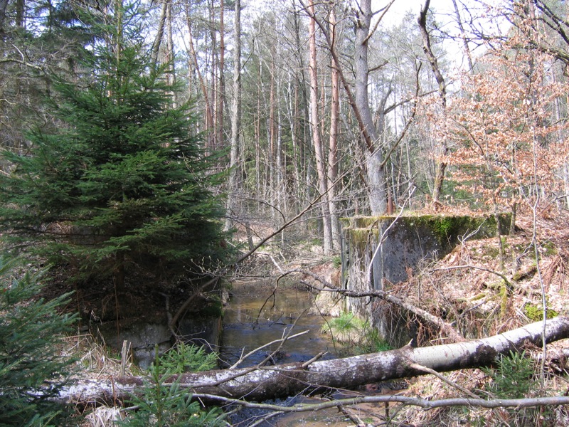 Ligne Maginot - ROTHENBOURG Ouest (Barrage 03) (Inondation défensive) -  - Antoine SCHOEN