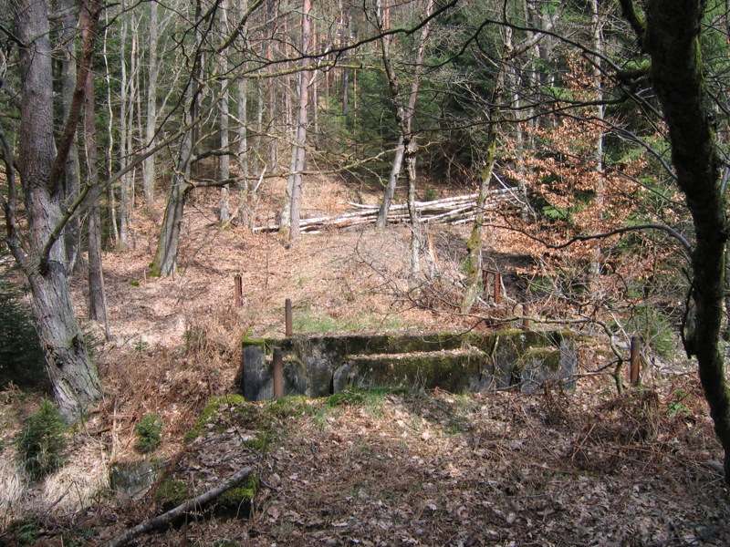 Ligne Maginot - ROTHENBOURG Ouest (Barrage 03) (Inondation défensive) - Le pertuis vu depuis la digue - Antoine SCHOEN