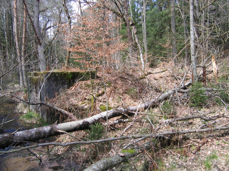 Ligne Maginot - ROTHENBOURG Ouest (Barrage 03) (Inondation défensive) - Le pertuis et la vanne de vidange - Antoine SCHOEN