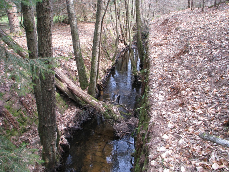 Ligne Maginot - WOLFSREDGEN ( FOSSE ANTICHARS ) - A droite, le talus de la casemate, la cloche dominant le fossé à quelques dizaine de mètres - Antoine SCHOEN