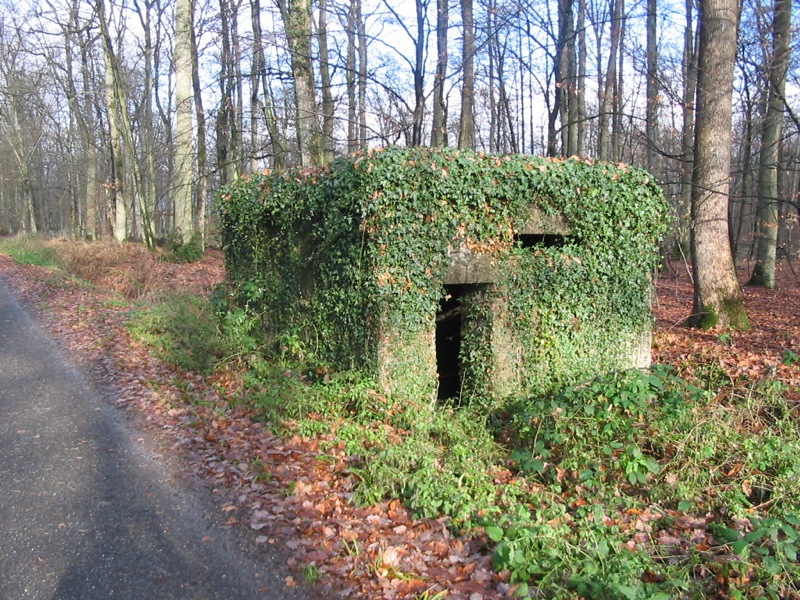 Ligne Maginot - ROUTE FORESTIERE DE LAUBACH 1 - (Blockhaus pour arme infanterie) -  - Antoine SCHOEN