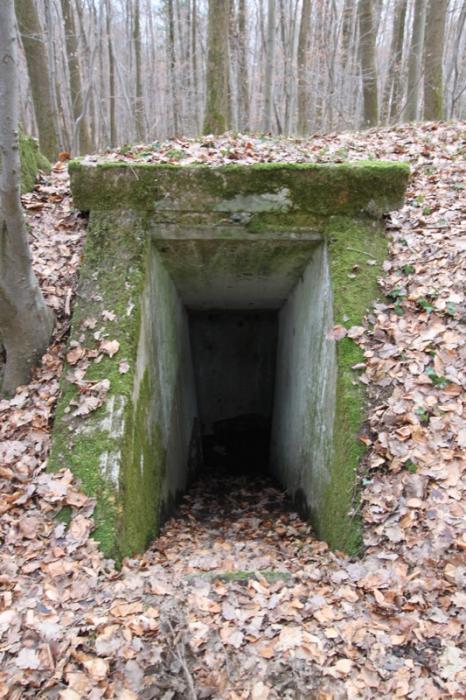 Ligne Maginot - MEMMELSHOFFEN (22° RIF) ( PC de Sous-Secteur ) - Vue de détail d'une des entrées - Antoine SCHOEN
