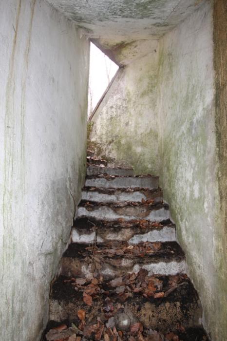 Ligne Maginot - MEMMELSHOFFEN (22° RIF) ( PC de Sous-Secteur ) - Escalier d'une des entrées - Antoine SCHOEN