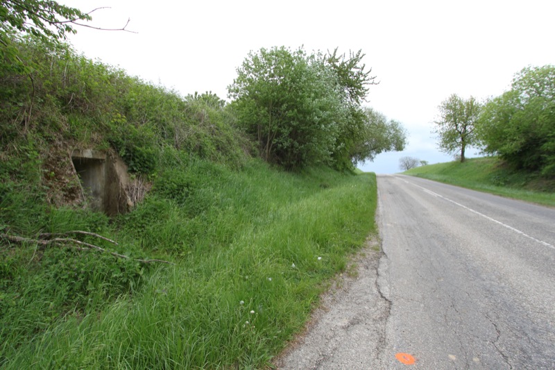Ligne Maginot - KUHLENDORF (79° RIF - 156°RA) - (PC de Sous-Secteur) - Vue générale extérieure - Antoine SCHOEN