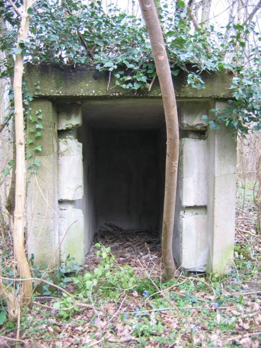 Ligne Maginot - NIEDERWALD - (Position d'artillerie préparée) -  - Antoine SCHOEN