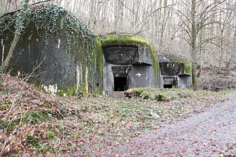 Ligne Maginot - 113 - OLTINGUE - (Casemate d'artillerie) - Vue générale de la casemate - Antoine SCHOEN