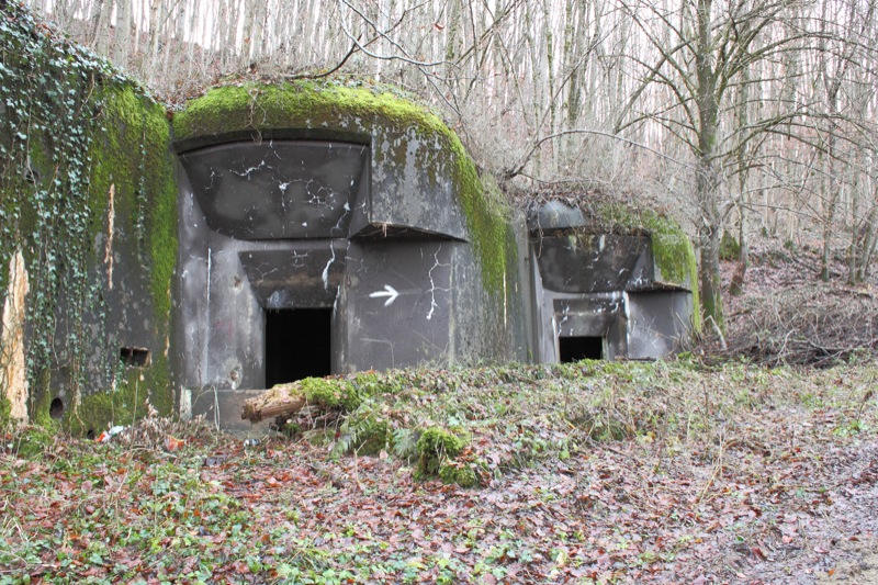 Ligne Maginot - 113 - OLTINGUE - (Casemate d'artillerie) - Vue générale de la casemate - Antoine SCHOEN