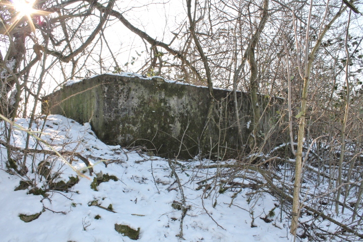 Ligne Maginot - KALKOFEN 10 - (Observatoire d'infanterie) - Vue générale - Christian LENHARD