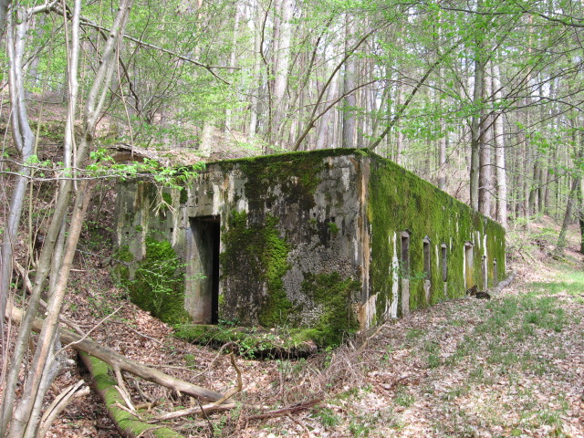 Ligne Maginot - MONTBRONN ( FROMBURGERWALD ) - (PC) - Vue d'ensemble - Christian LENHARD