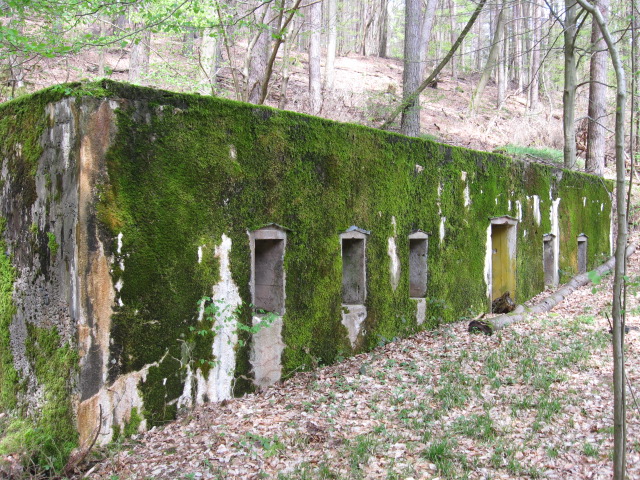 Ligne Maginot - MONTBRONN ( FROMBURGERWALD ) - (PC) - Façade avant - Christian LENHARD