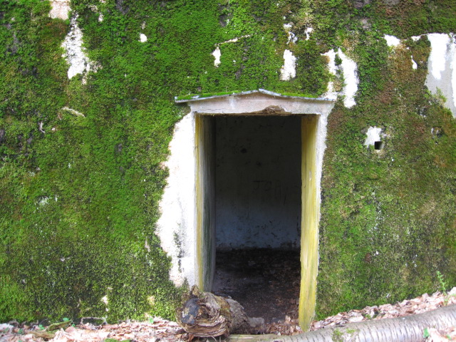 Ligne Maginot - MONTBRONN ( FROMBURGERWALD ) - (PC) - L'entrée principale - Christian LENHARD