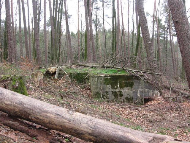 Ligne Maginot - GROSSLING (II° 59° RAMF) - (PC de Quartier) - Vue générale - Christian LENHARD