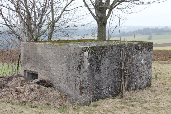 Ligne Maginot - HILLEN OUEST - (Blockhaus pour arme infanterie) - L'entrée - Christian LENHARD
