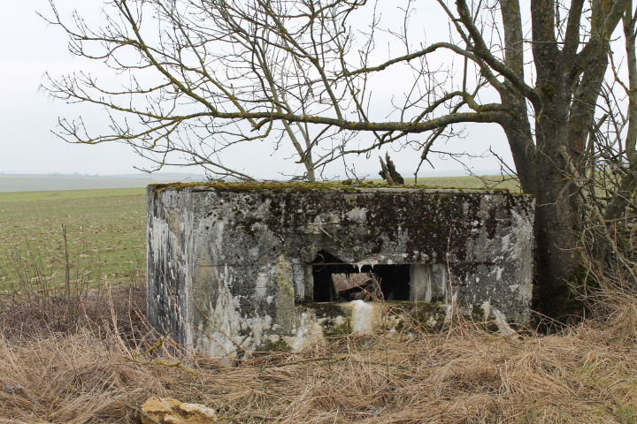 Ligne Maginot - HILLEN EST - (Blockhaus pour arme infanterie) - Façade de tir - Christian LENHARD