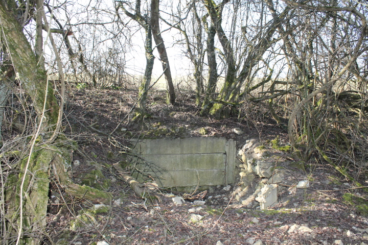 Ligne Maginot - STEINER DEL 1 - (Blockhaus pour arme infanterie) - Les restes du blockhaus - Christian LENHARD