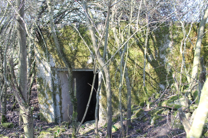 Ligne Maginot - STEINER DEL 2 - (Blockhaus pour arme infanterie) - L'entrée - Christian LENHARD