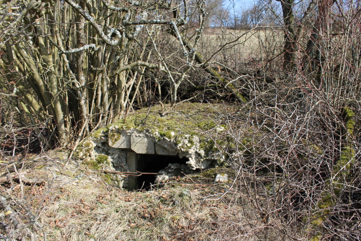 Ligne Maginot - STEINER DEL 3 - (Blockhaus pour arme infanterie) - Façade Ouest - Christian LENHARD