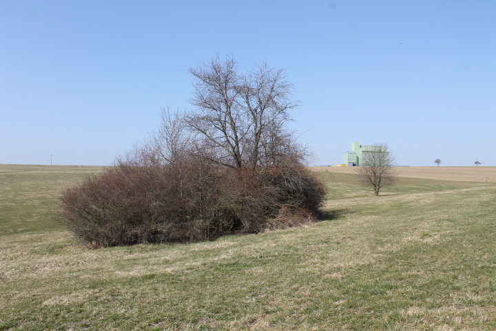 Ligne Maginot - NEUWIESE 2 - (Blockhaus pour canon) - Vue générale - Christian LENHARD