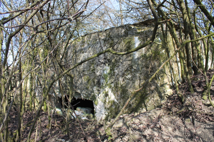Ligne Maginot - NEUWIESE 2 - (Blockhaus pour canon) - Façade de tir - Christian LENHARD