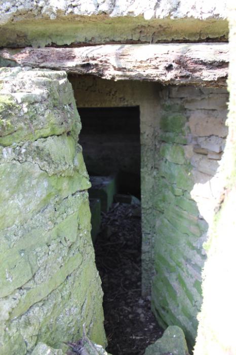 Ligne Maginot - NEUWIESE 2 - (Blockhaus pour canon) - L'entrée - Christian LENHARD
